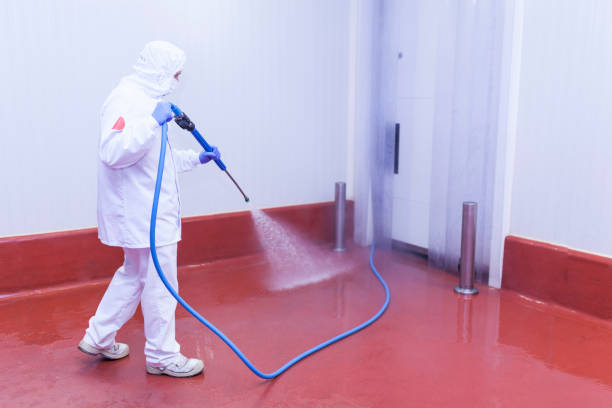 Pre-Holiday Cleaning in Russell Springs, KY